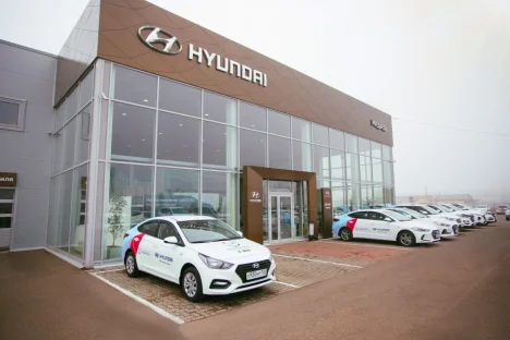 Изображение Hyundai Медведь
